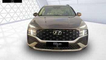60740 : Hyundai Saint-Maximin - Protea by Riester - HYUNDAI SANTA FE Intuitive - SANTA FE IV - Marron - Boîte automatique - Essence / Courant électrique