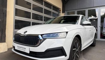 78000 : Hyundai Versailles - SOCOHY - SKODA Octavia Combi - Octavia Combi - Blanc Cristal spéciale - Traction - Hybride rechargeable : Essence/Electrique
