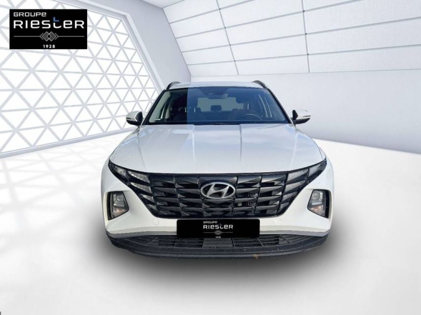 77100 : Hyundai Meaux - Protea by Riester - HYUNDAI TUCSON Intuitive - TUCSON IV - BLANC - Boîte manuelle - Essence sans plomb