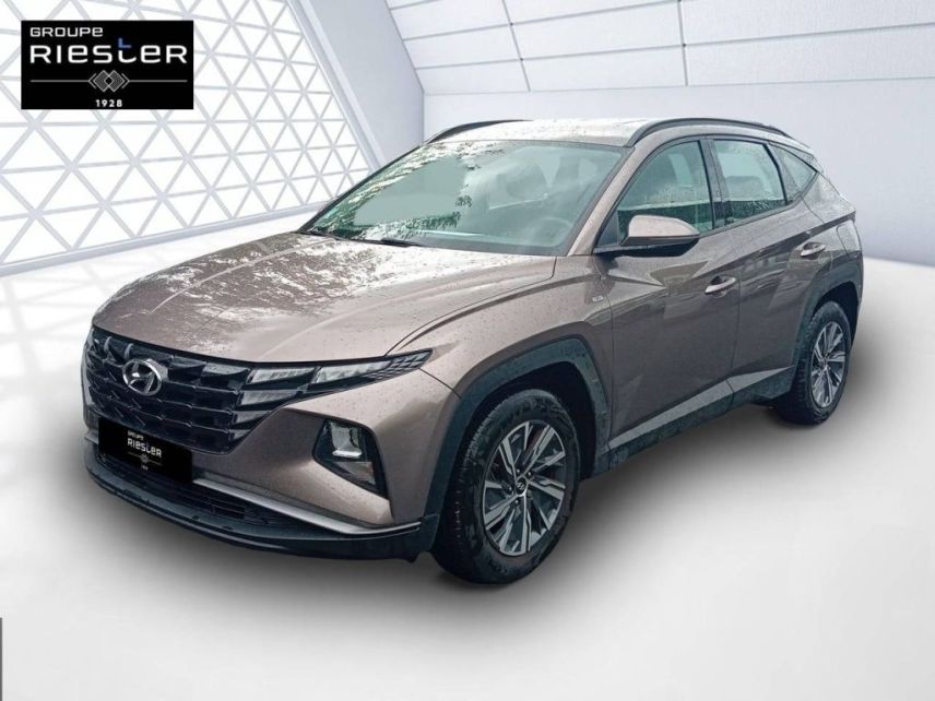 77600 : Hyundai Bussy-Saint-Georges - Protea by Riester - HYUNDAI TUCSON Intuitive - TUCSON IV - Marron - Boîte manuelle - Essence sans plomb