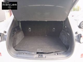 60000 : Hyundai Beauvais - Protea by Riester - FORD KUGA Vignale - KUGA III - Blanc - Boîte manuelle - Diesel