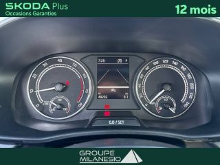 13730 : Hyundai Marignane - Cap Milanesio - SKODA FABIA Ambition - FABIA IV - Gris - Automate sequentiel - Essence sans plomb