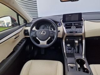 14100 : Hyundai Lisieux - Trajectoire Automobiles - LEXUS NX - NX - Rouge Cristal - Traction - Hybride : Essence/Electrique
