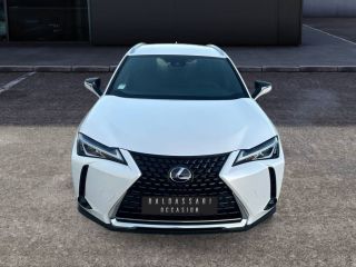 83130 : Hyundai Toulon - Autodif SAS - Groupe BALDASSARI - LEXUS UX MY20 Pack - UX - BLANC - Automate à fonct. Continu - Essence / Courant électrique