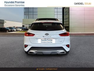 59187 : Hyundai Douai - Groupe Lempereur - KIA XCeed - XCeed - Blanc Sensation - Traction - Diesel