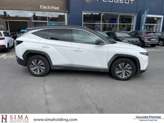 59410 : Hyundai Valenciennes - ADNH - HYUNDAI Tucson - Tucson - Polar White - Traction - Hybride : Essence/Electrique