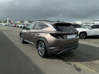 49300 : Hyundai Cholet - Océane Auto - HYUNDAI TUCSON Creative - TUCSON IV - Marron - Automate sequentiel - Diesel