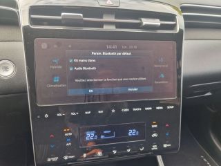 91100 : Hyundai Corbeil-Essonnes - CAP Fournier - HYUNDAI TUCSON Creative - TUCSON IV - Beige - Boîte automatique - Essence / Courant électrique