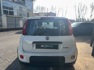 04100 : Hyundai Manosque - Pedinielli - FIAT PANDA MY22  - PANDA III - Blanc - Boîte manuelle - Essence sans plomb