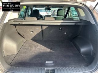 77600 : Hyundai Bussy-Saint-Georges - Protea by Riester - HYUNDAI TUCSON Creative - TUCSON III - gris - Boîte manuelle - Diesel