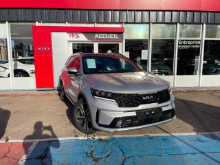 89100 : Hyundai Sens - APS - KIA Sorento - Sorento - Gris Clair Métal - Traction - Hybride : Essence/Electrique
