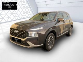 60740 : Hyundai Saint-Maximin - Protea by Riester - HYUNDAI SANTA FE Intuitive - SANTA FE IV - Marron - Boîte automatique - Essence / Courant électrique