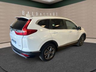 83130 : Hyundai Toulon - Autodif SAS - Groupe BALDASSARI - HONDA CR-V E:HEV 2021 Exclusive - CR-V V - Blanc - Automate à fonct. Continu - Essence / Courant électrique