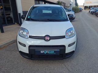 04100 : Hyundai Manosque - Pedinielli - FIAT PANDA  - PANDA III - BLANC - Boîte manuelle - Essence sans plomb