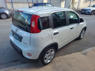 04100 : Hyundai Manosque - Pedinielli - FIAT PANDA  - PANDA III - BLANC - Boîte manuelle - Essence sans plomb