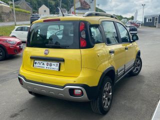 50300 : Hyundai Avranches - GCA - FIAT Panda 4x4 Cross - Panda 4x4 Cross - Jaune Sole  Pastel Extra-Série - Transmission intégrale - Essence