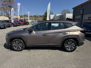 84120 : Hyundai PERTUIS - SA PEDINIELLI - HYUNDAI TUCSON Business - TUCSON IV - Beige - Automate sequentiel - Diesel