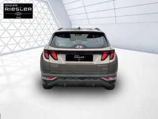 60740 : Hyundai Saint-Maximin - Protea by Riester - HYUNDAI TUCSON Intuitive - TUCSON IV - BEIGE - Boîte automatique - Essence / Courant électrique